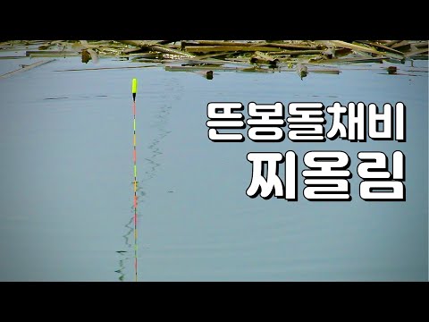 붕어낚시, 뜬봉돌 채비 찌올림, <strong>강화</strong> <strong>교동</strong> 월선포 수로, 상용리 쪽수로