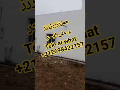 عقارات شقق لن تصدق فيرمة للبيع بتمن خيالي لا يقاوم