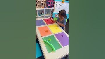 Color Sorting Toys Toddler Activity - Homeschool Preschool Colors Unit #handsonlearning