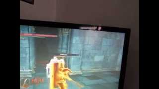 Dark Souls 2 invisible enemies bug during summoning