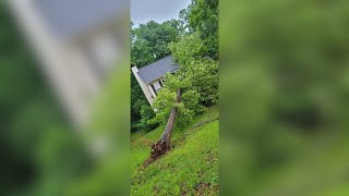 Morning storms leave damage in Troup County