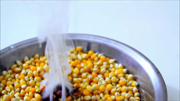 1000 Derecede Kızdırılmış Nikel Top İle Mısır Patlatılır mı ? - Pop Corn With Hot Metal Ball-İlginç