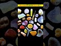 Things That Look Amazing Under The Microscope #microscope #shorts