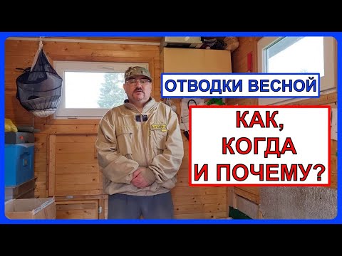 🔴 Полезные знания об отводках. Пчеловодство для начинающих 2024 🔴