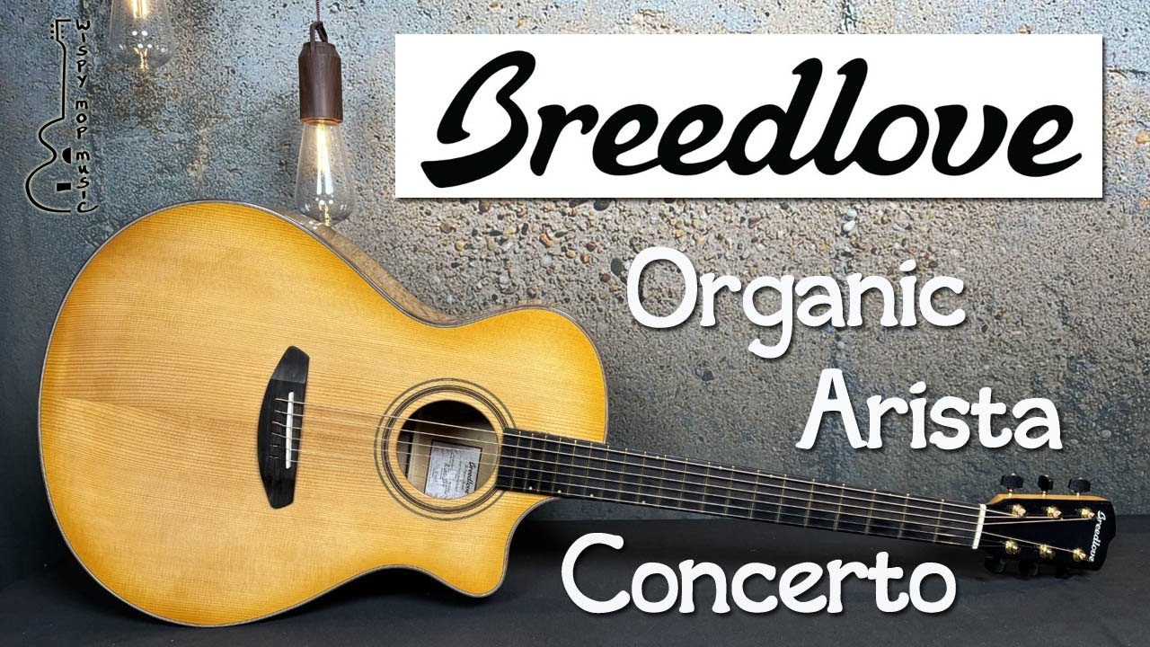 Breedlove Artista Concerto - YouTube