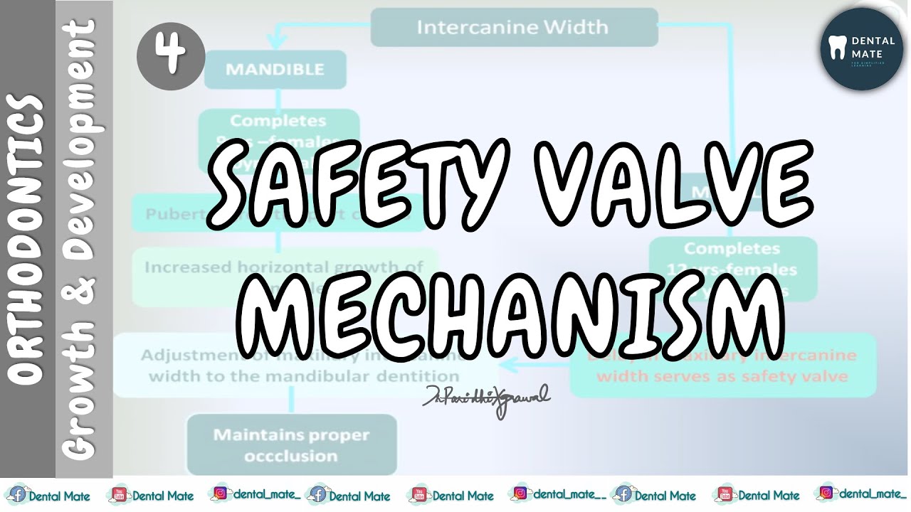 Safety Valve Mechanism Dr Paridhi Agrawal YouTube