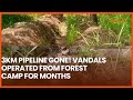 Vandals Spend Months In S'East Forest Camp To Excavate, Steal 3km Of Port Harcourt–Kaduna Pipeline