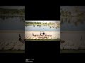 وانا اركض لك ركض لايك فولو