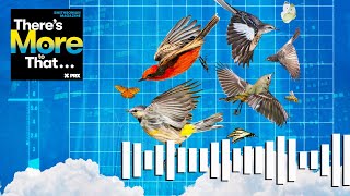 Birds, Bats and Bugs: The Teeming World Above Our Heads