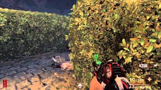 Buried Pack a Punch Location, Maze, and Upgraded Ray Gun 2