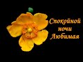 Спокойной ночи Любимая