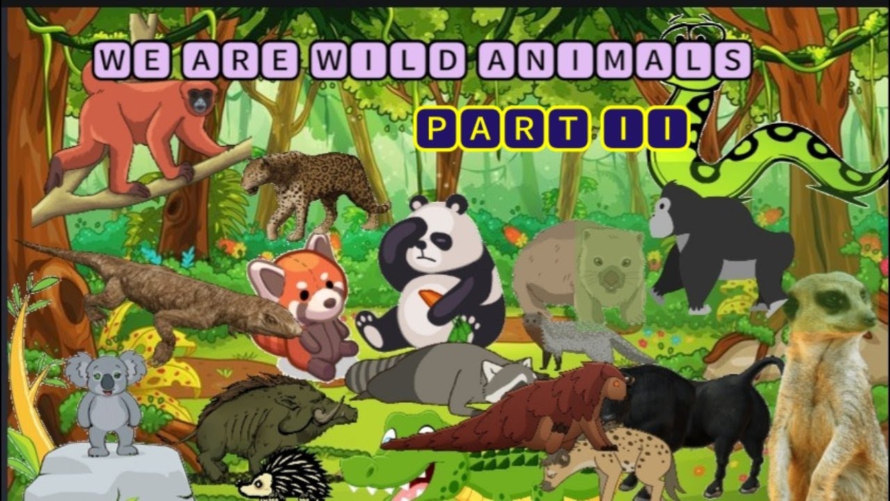 Wild Animals Janwar Ke Naam Wild Animals Janwar Ke Naam