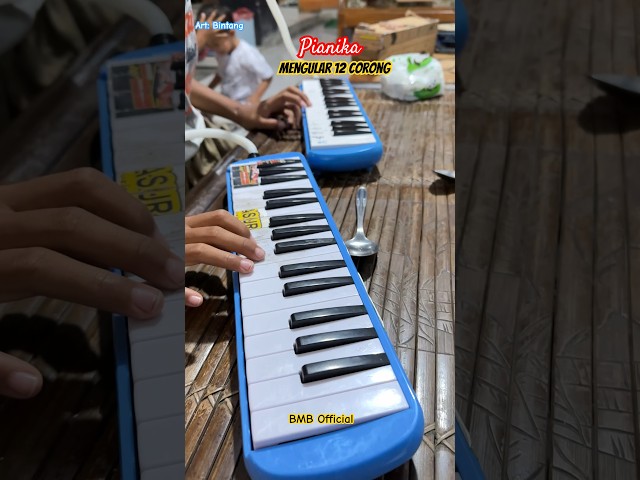 Mengular 12 Corong Pianika Sendiri #telolet #basuri #pianika class=