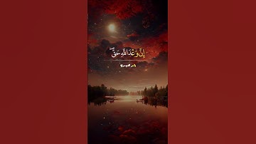 #الشيخ_ياسر_الدوسري #الشيخ_خالد_الجليل #قرآن #روائع_التلاوات #لايك #ترند #كومنت #اكسبلور #فلسطين