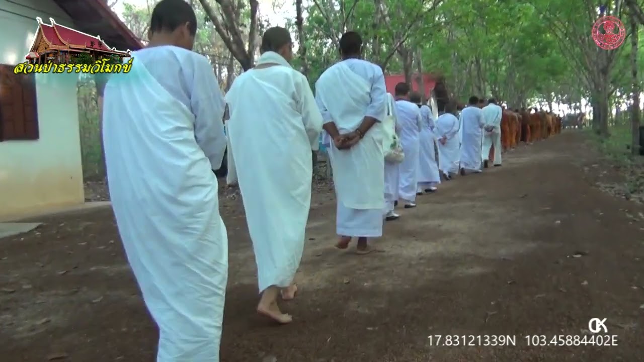 เดินอบรมจิต และกายบริหารช่วงเช้า  สวนป่าธรรมวิโมกข์