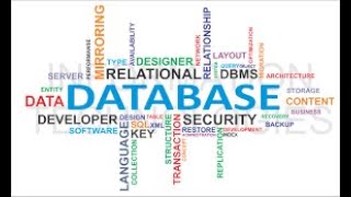 Centralized and Client/Server Architectures for DBMSs - Two Tier