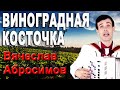 Виноградная косточка, кавер Кикабидзе - поёт баянист Вячеслав Абросимов