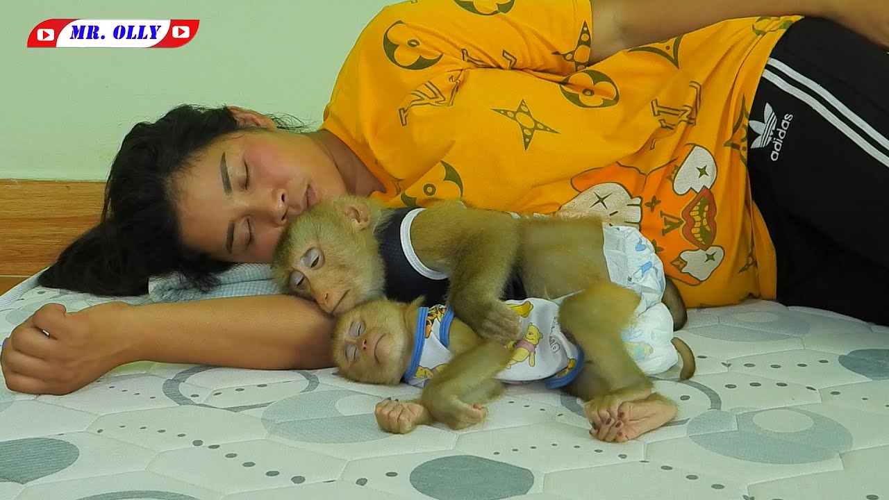 Mommy Grooming Brother KAKO With OLLY Sleep Routine