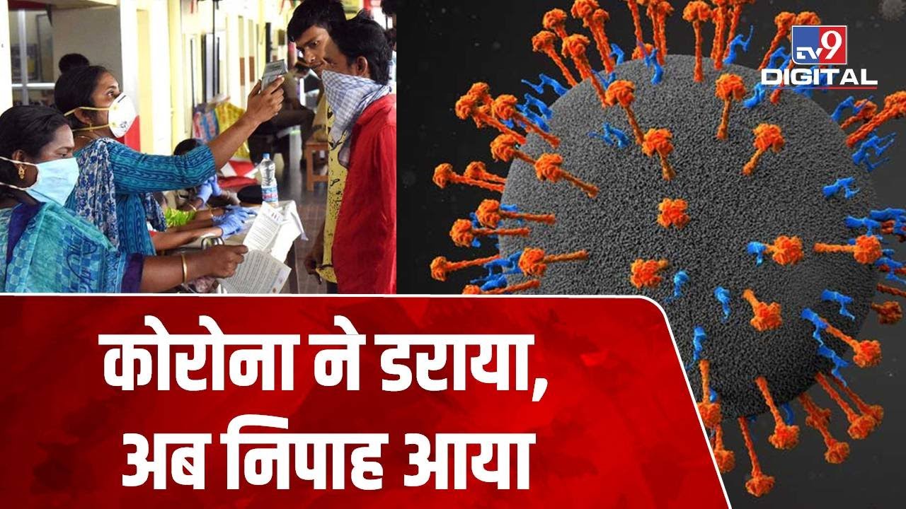 ⁣Kerala के बाद Tamil Nadu में Nipah Virus की दस्तक, जानिए मनुष्यों में कैसे फैलता है ये वायरस?