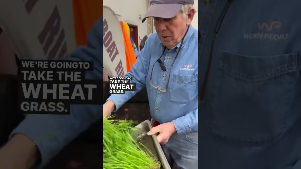 Time to feed the baby worms!🪱  