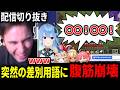 【放送事故】Vtuberの失言に笑いが止まらないニコラスニキ【海外の反応】【日本語翻訳】【切り抜き】