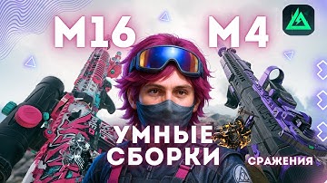 M4 и M16: самые СИЛЬНЫЕ штурмовки для НОВИЧКОВ и не только | Гайд как собрать | Лучшие сборки