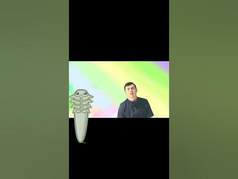 Блефарит или воспаление века - YouTube