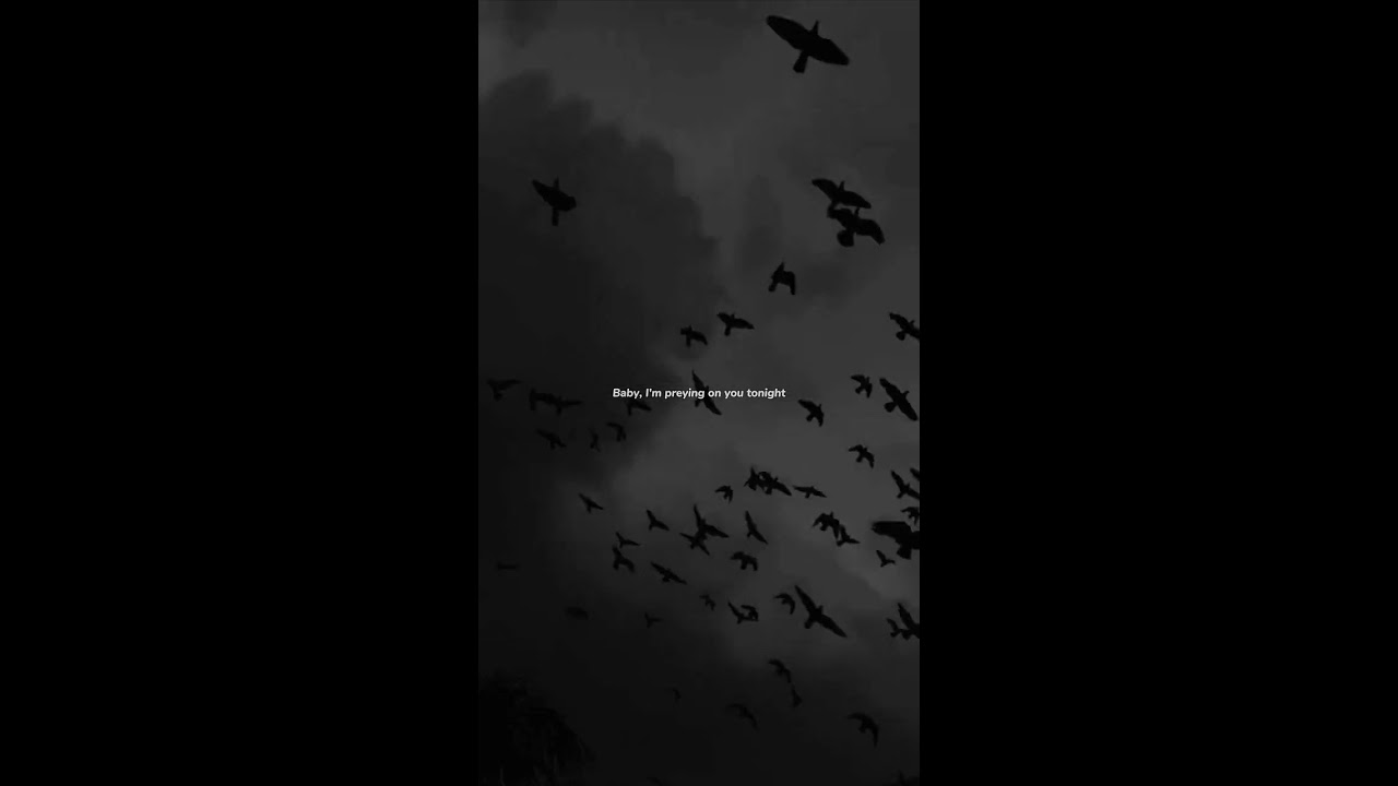 Billie Eilish - BIRDS OF A FEATHER (Official Lyric Video)