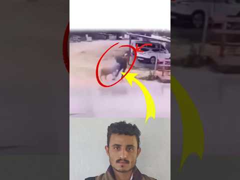 لا تتصد لخروف مندفع فبعض الدفعات القاسية تحمل في داخلها حماية لم تتوقعها