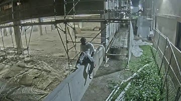 You Can Run, But You Can