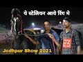 देखिये स्टेलियन रिंग मे कौन कौन से घोड़े आये | Jodhpur Horse Show 2021