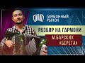 Берега Барских Разбор на гармони