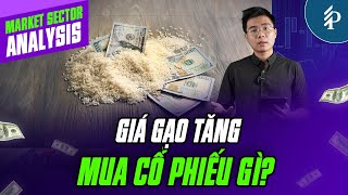 Giá gạo tăng: Cổ phiếu nông nghiệp nào được hưởng lợi?