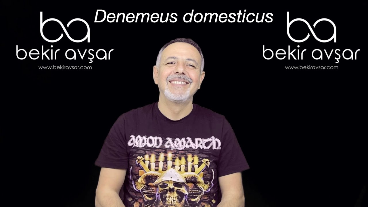 EVDE YAPILAN DENEMELER İLE KURUMDA YAPILAN DENEME SONUÇLARININ FARKLILIĞI