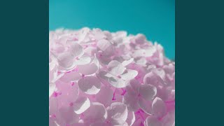 Modish Backdrops for Reading Notes
