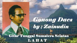 Gitar Tunggal Sumatera Selatan, Zainuddin - Gonong Daes #lahat