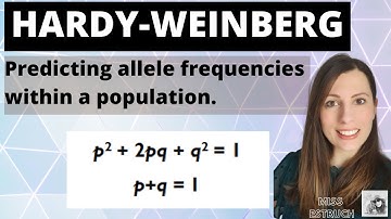 Hardy Weinberg equation- A-level Biology inheritance mathematical model to work out allele frequency