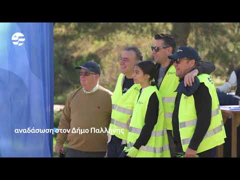 Αναδάσωση στον Δήμο Παλλήνης