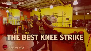 The Single Best Knee Strike You Can Use