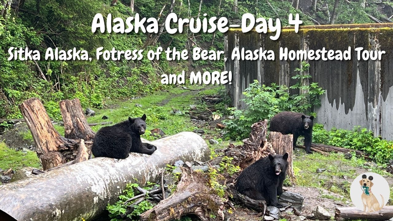 Royal Caribbean Alaska Cruise Day 4- Visiting Sitka, Fortress of the Bears, Alaska Homestead Tour