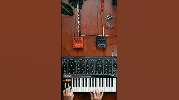 How to add Depth to Moog Grandmother Synth with Pedals