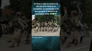 info militar argentina i