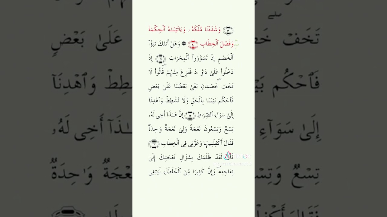 ١١ يناير، ٢٠٢٦