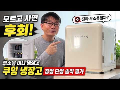모르고 사면 후회! 무소음 미니 내장고 진짜 무소음일까? 쿠잉 REF-N30 장점 단점- 미니 냉장고 추천