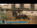 Bishop Burton Development Classic | Sunday 5th March | Equitop Myoplast Foxhunter/Grade C
