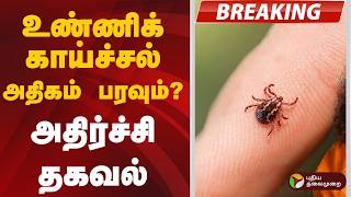 #BREAKING | உண்ணிக் காய்ச்சல் அதிகம் பரவும்- அதிர்ச்சி தகவல் |  Scrub Typhus