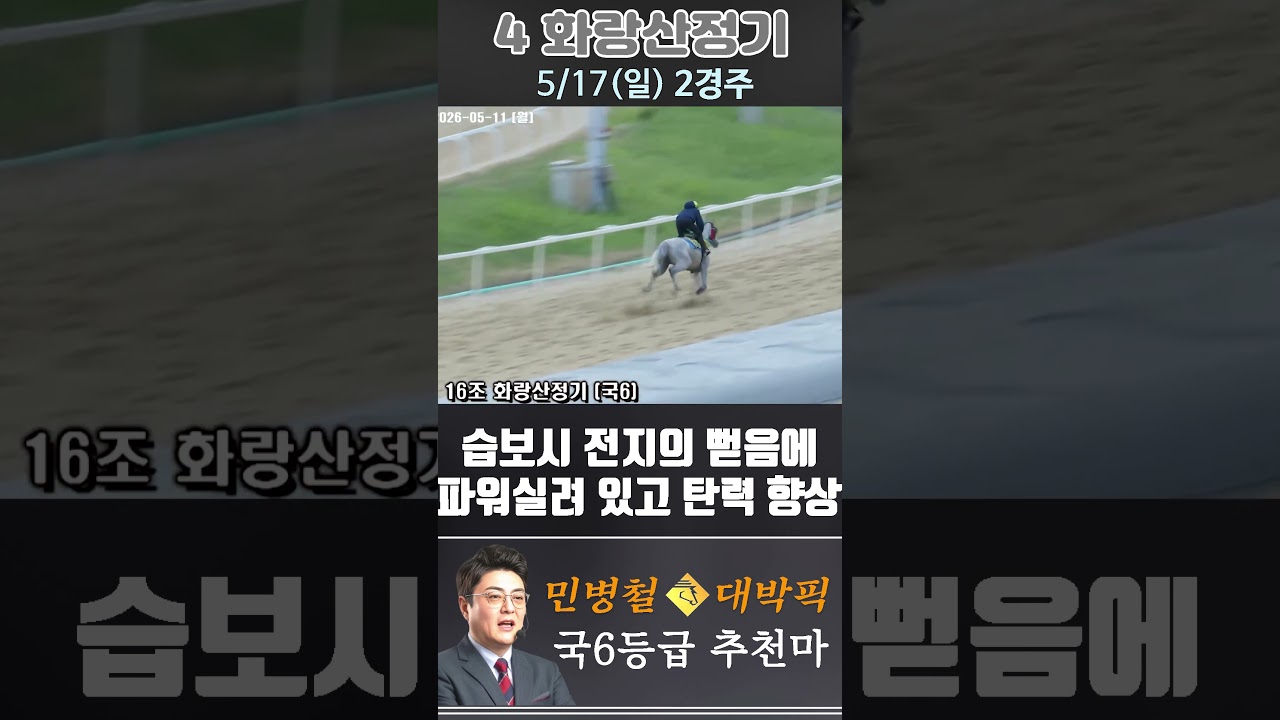 [서울 경마] 민병철 대박픽 2026년 5월 17일 일요 2R 추천마3 #경마 #automobile #한국마사회 #horse #하이라이트 #korean #비트코인 #게임 #뉴스