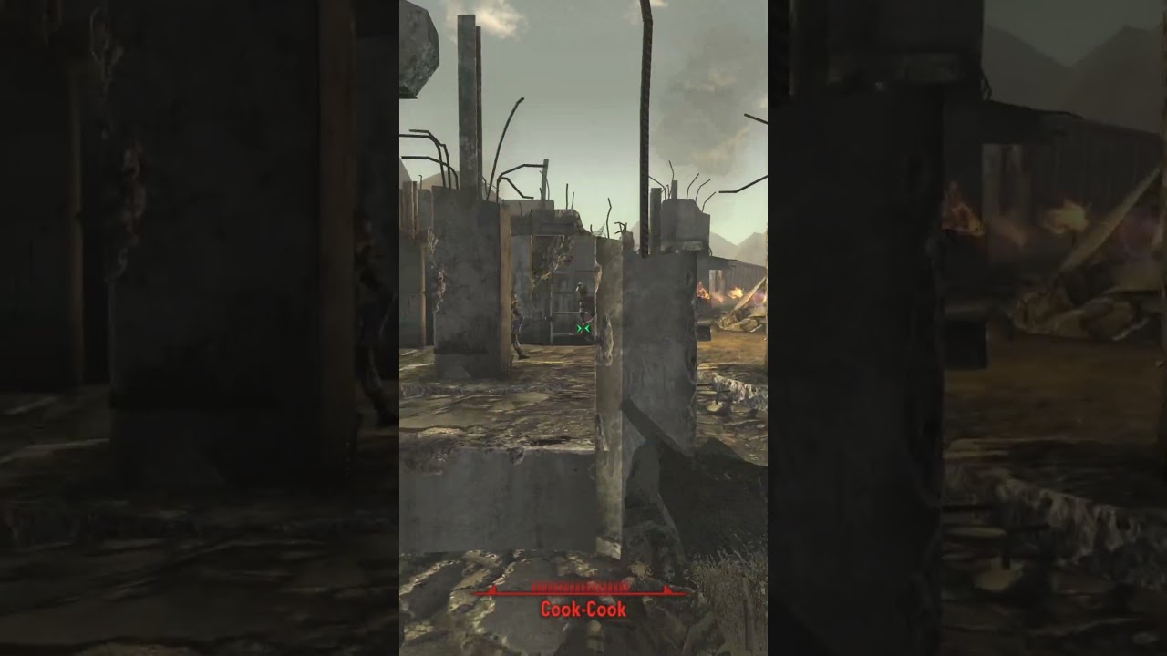 Cook-Cook's Brahmin in Fallout New Vegas