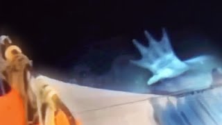 Real Mermaids Chase a Fishing Boat!