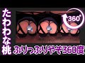 ぷりぷりVR【360°動画】